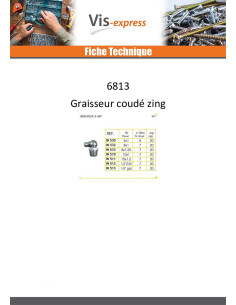 Graisseur coude 90° M8 Pas de 125 Acier zingué 2