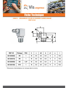 Graisseur coude 90° Carré M10 Pas de 100 Acier zingué 2