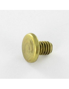 OBTURATEUR Laiton Tête plate 4.3X6 TORX T9 EP1.5