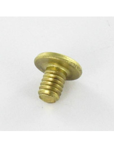 OBTURATEUR Laiton Tête plate 4.3X6 TORX T9 EP1.5 2