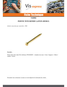 Kg de pointes Laiton Tête ronde TR 1.3X14 2