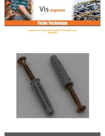 Sachet De 2 Cheville Fischer SX6 Avec 2 Vis