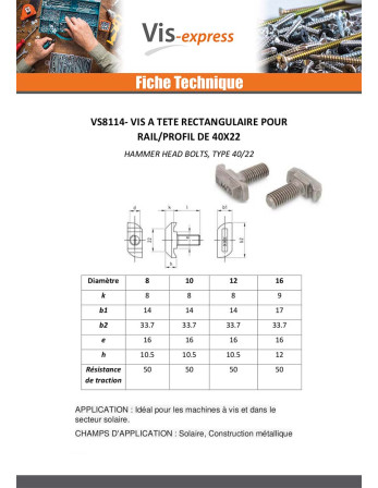 Vis métaux Tête rectangulaire 14X33.7X10.5 M10X80 T40/22 Inox A4