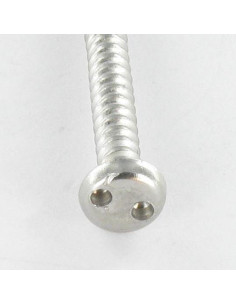 Vis tôle Inviolable Tête cylindrique TC Snake eyes 4.8X38... 2