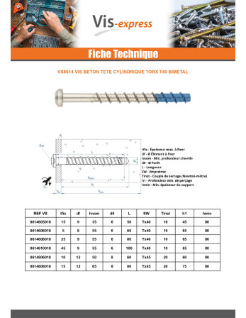 Vis béton Tête cylindrique TC TORX T40 6X100 Bimétal