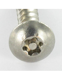 Vis Penture Inviolable TORX T30 avec téton 6X50 Inox A2 2