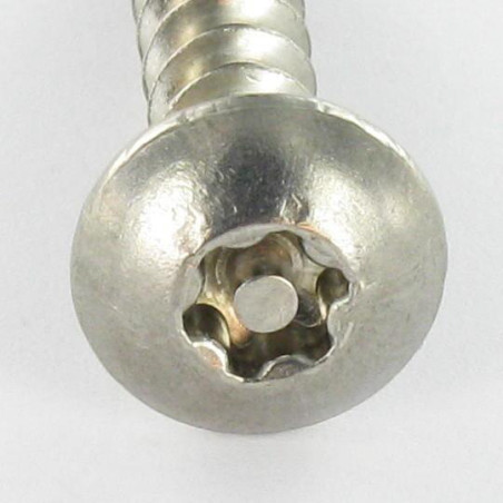 Vis Penture Inviolable TORX T30 avec téton 6X50 Inox A2