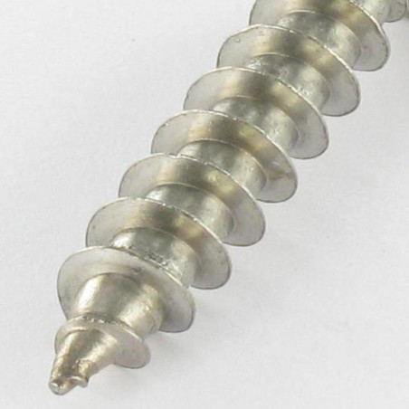 Vis Penture Inviolable TORX T30 avec téton 6X50 Inox A2