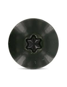Vis de facade TORX T20 4.8X38 Diamètre de tête: 12.3 Inox... 2