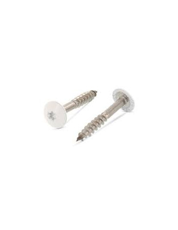 Vis de facade TORX T20 4.8X25 Diamètre de tête: 12.3 Inox A2 RAL9001 blanc creme