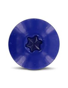 Vis de facade TORX T20 4.8X38 Diamètre de tête: 12.3 Inox... 2