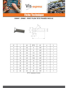 Rivet à frapper Tête fraisée Inox A2 5X22 2