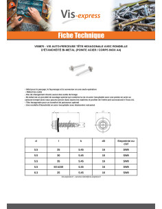 Vis autoperceuse Bimétal Acier / Inox A4 Tête hexagonale... 2