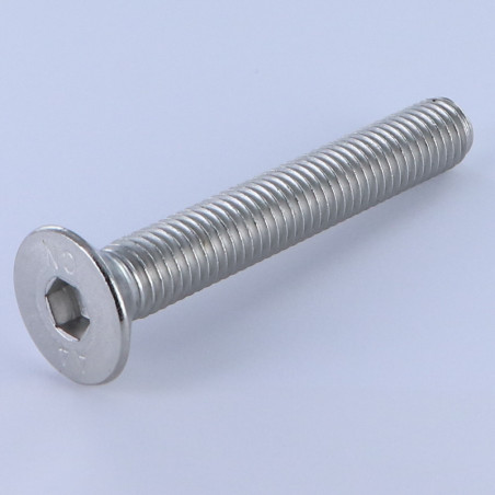 1 x Vis métaux FHC tête fraisée empreinte hexagonale creuse Clé de 10 HC10 M16X100 Filetage total Inox A4