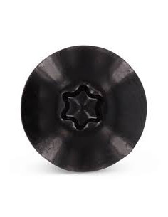 Vis de facade TORX T20 4.8X38 Diamètre de tête: 12.3 Inox... 2