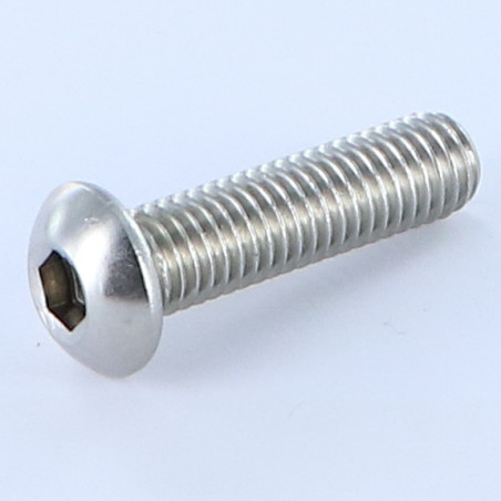 1 x Vis métaux BHC (Tête Bombée Hexagonal creux) M8X25 Filetage total Clé de 5 HC5 Inox A4
