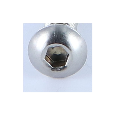 1 x Vis métaux BHC (Tête Bombée Hexagonal creux) M8X25 Filetage total Clé de 5 HC5 Inox A4