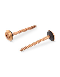 Vis faitage Tête fraisée bombée TFB TORX T20 Inox A2...