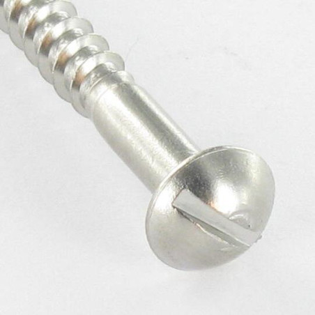 1 x Vis bois Inox A2 Tête ronde TR Fendue 4X35