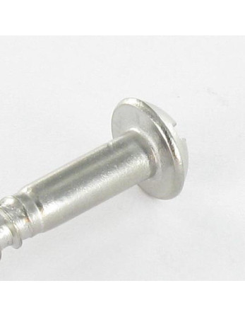 Vis bois Inox A2 Tête ronde TR Fendue 4X35