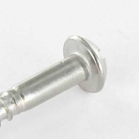 1 x Vis bois Inox A2 Tête ronde TR Fendue 4X35