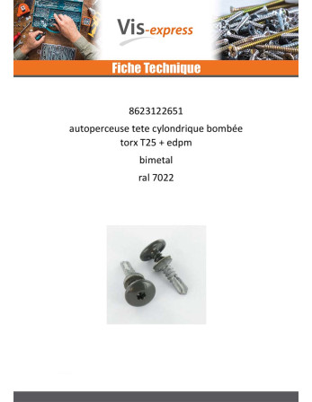 Vis autoperceuse Tête cylindrique bombée TCB TORX T25 5.5X26 +EPDM Bimétal RAL7022 gris tarre d'ombre