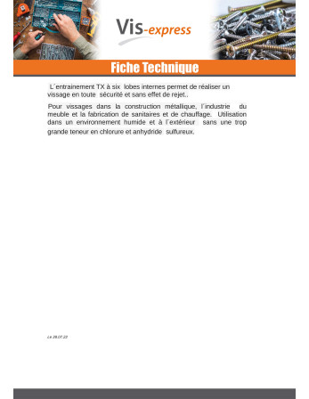 Vis métaux Tête cylindrique TC TORX T25 Inox A2 M5X40 Filetée sur 22