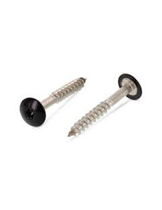 Vis de facade TORX T20 5.5X38 Diamètre de tête: 12.3 Inox...