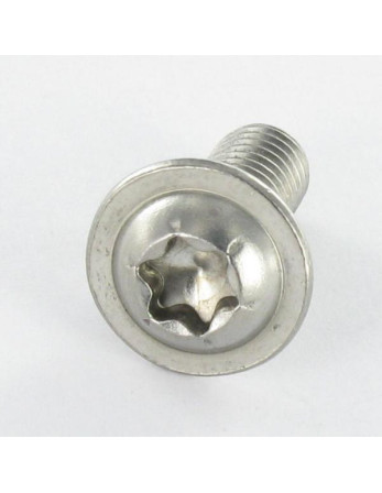 Vis métaux Tête bombée Embase collerette TORX T30 M6X100 Filetage total Inox A2