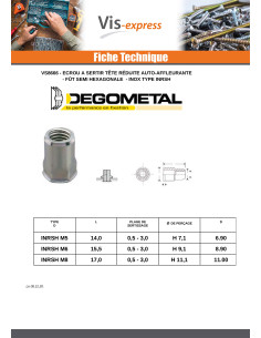 Ecrou Tête réduite SEMI Hexagonal M6X15.5 INRSH IN 2
