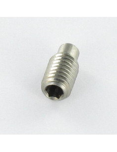 Vis métaux Inox A2 Sans tête six pans creux (sthc) M6X20... 2