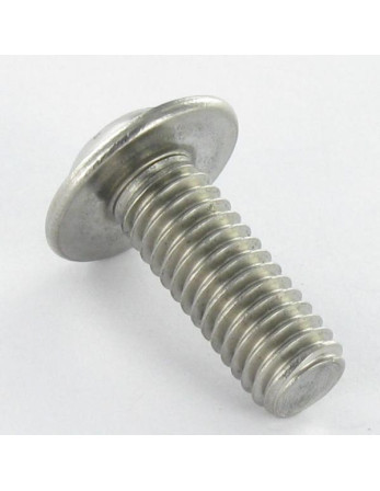 Vis métaux Tête bombée Embase collerette TORX T30 M6X75 Filetage total Inox A2