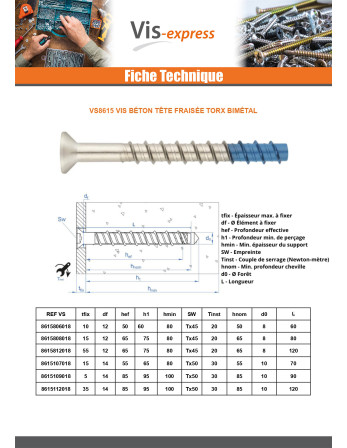 Vis béton Tête fraisée TORX T45 8X60 Bimétal