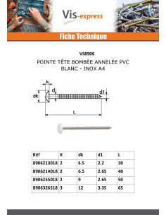 Pointe ANNELEE Tête PLASTIFIEE 2.1X30 Inox A4 2