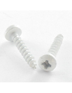 VBA Vis bois agglo Inox A2 Tête ronde TR Pozi 3X20...