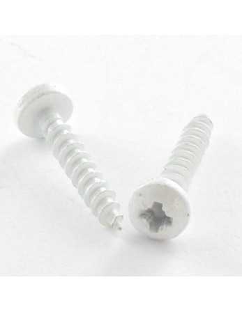 VBA Vis bois agglo Inox A2 Tête ronde TR Pozi 3X20 microvis RAL9016 blanc signalisation