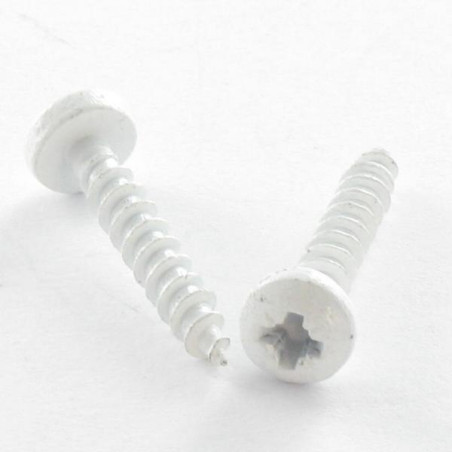 VBA Vis bois agglo Inox A2 Tête ronde TR Pozi 3X20 microvis RAL9016 blanc signalisation