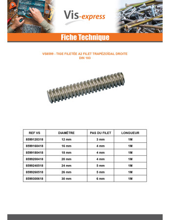 Tige filetée Inox A2 Filet Trapézoidale Droite 12X3 Longueur 1 mètre