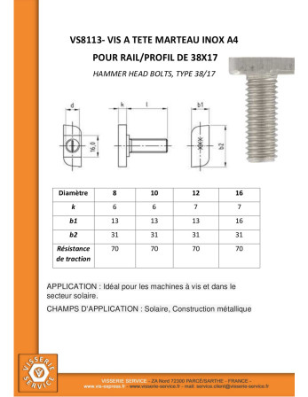 Vis métaux Tête marteau 13X31X6 M12X60 Inox A4 pour profilés 38/17