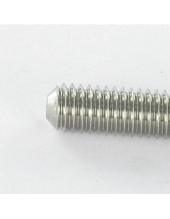 Vis métaux Inox A2 Sans tête six pans creux (sthc) Clé de 2.5 HC2.5 M5X20 Bout cuvette