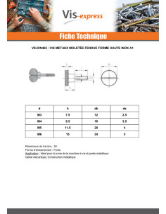 Vis métaux Moletée Fendue Forme Haute Inox A1 M3X6 microvis 2