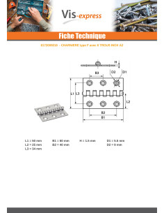 Charnière Type Fendue 6 trous Inox A2 50X60 2