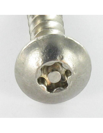 Vis Penture Inviolable TORX T30 avec téton 6X30 Inox A2