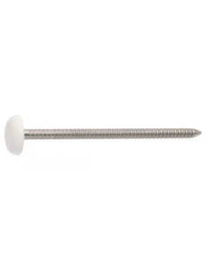 Pointe ANNELEE Tête PLASTIFIEE 2.5X50 Inox A4