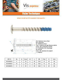 Vis béton Tête Bombée TORX TORX T30 6X40 Bimétal 2