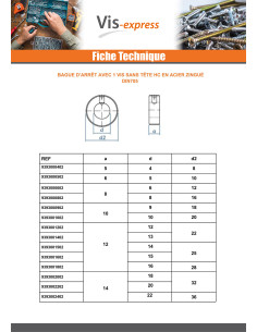 Anneau Avec 1 Vis Sans tête six pans creux (sthc)... 2