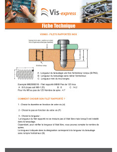 Filet rapporté M12X12 Pas fin Pas de 100 Inox 2