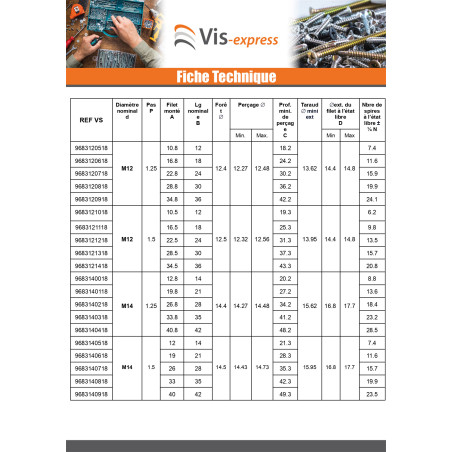 Filet rapporté M12X18 Pas fin Pas de 100 Inox