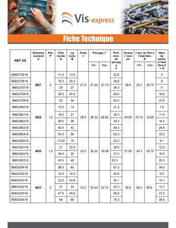Filet rapporté M12X18 Pas fin Pas de 100 Inox