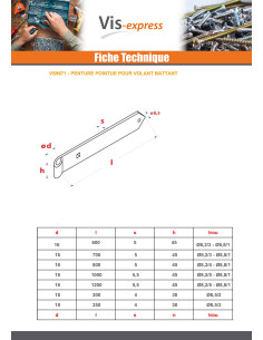 Penture pointu volet battant 18X300 Bichromaté 2